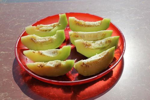 枝江市吃瓜
